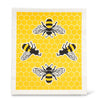Dishcloth & Kitchen Towel
