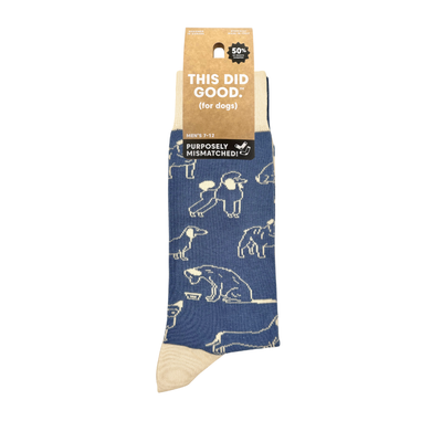 Men's Socks - Friday Sock Co
