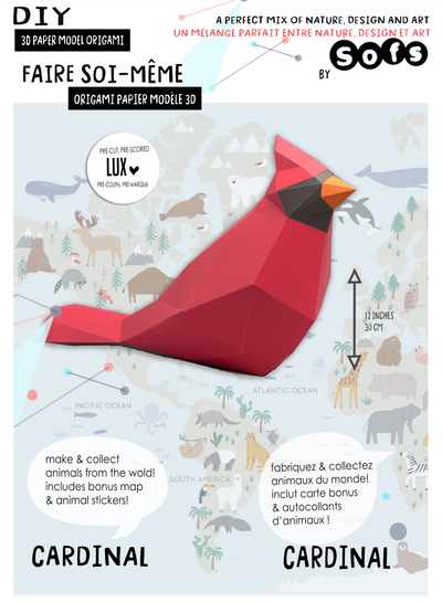 DIY Cardinal 3D origami model Kit