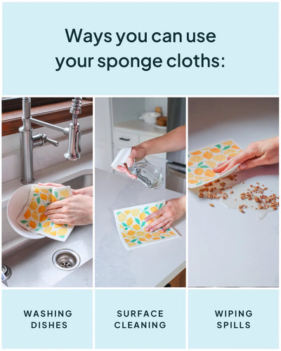 Sponge Cloth - Nature Bee