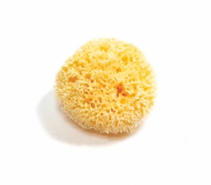 Natural Bath & Cleaning Grass Sea Sponge - Smile Boutiques