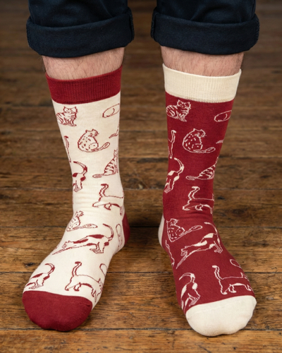 Men's Socks - Friday Sock Co