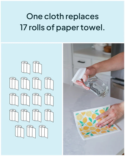 Sponge Cloth - Nature Bee