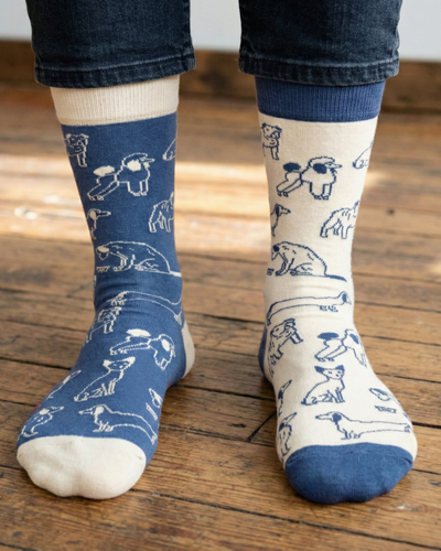 Men's Socks - Friday Sock Co