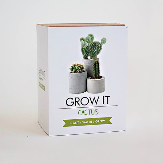 Grow It Cactus Plant