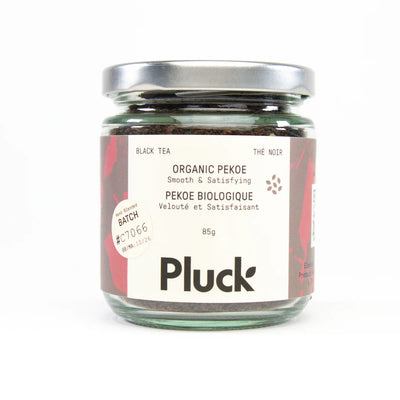 Pluck Tea - Organic Pekoe
