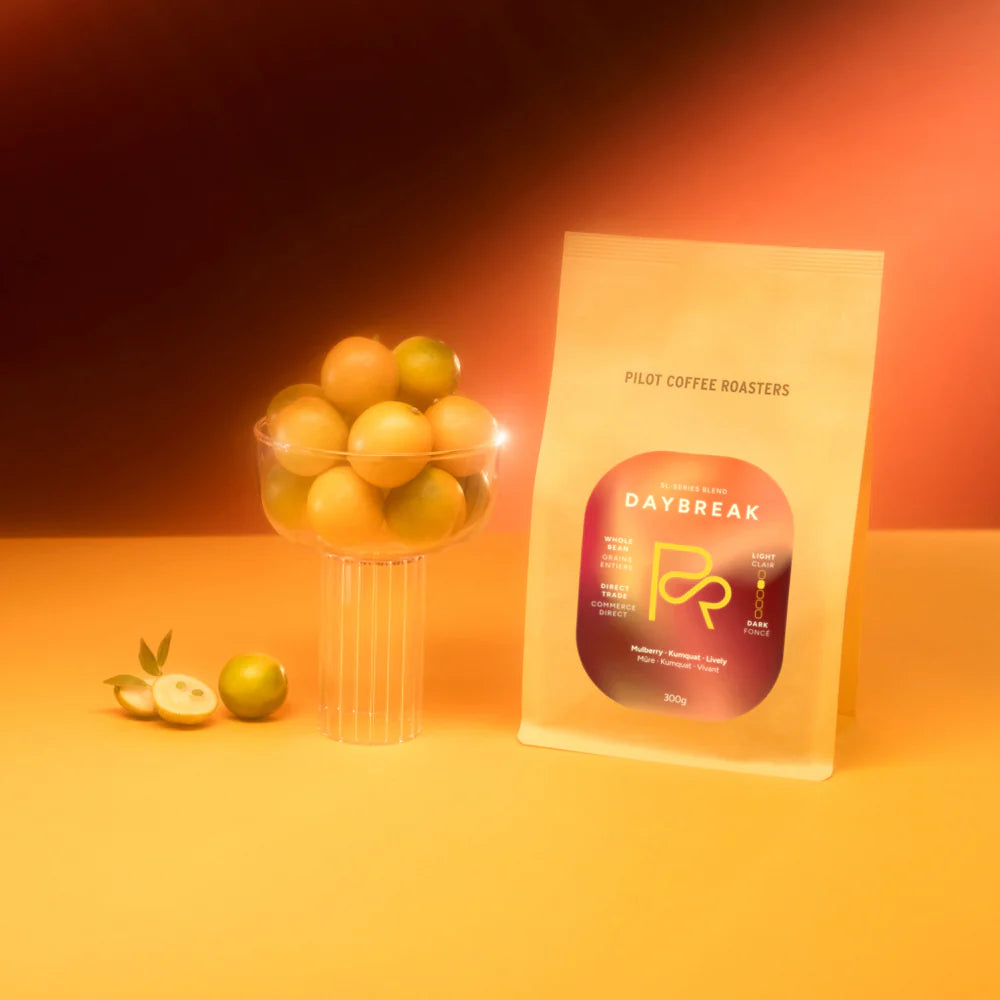 Pilot Coffee Roasters Daybreak SL-Series Blend
