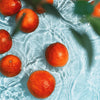 Pilot Coffee Beans - Radial Summer Blendi