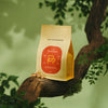 pilot coffee roasters
