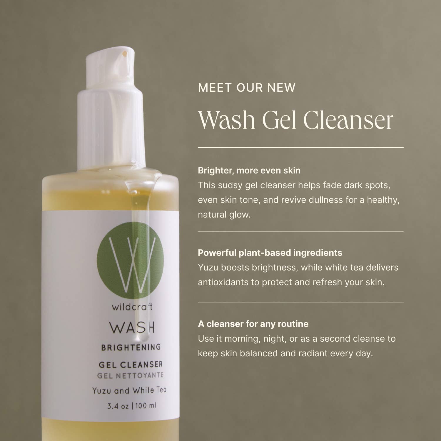 Wash Gel Cleanser