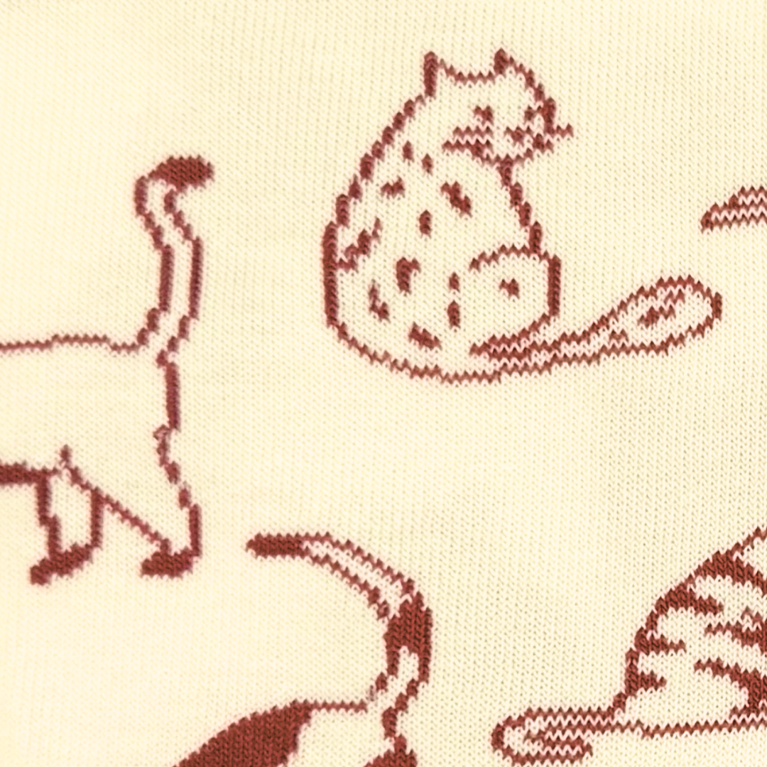 Men's Socks - Friday Sock Co