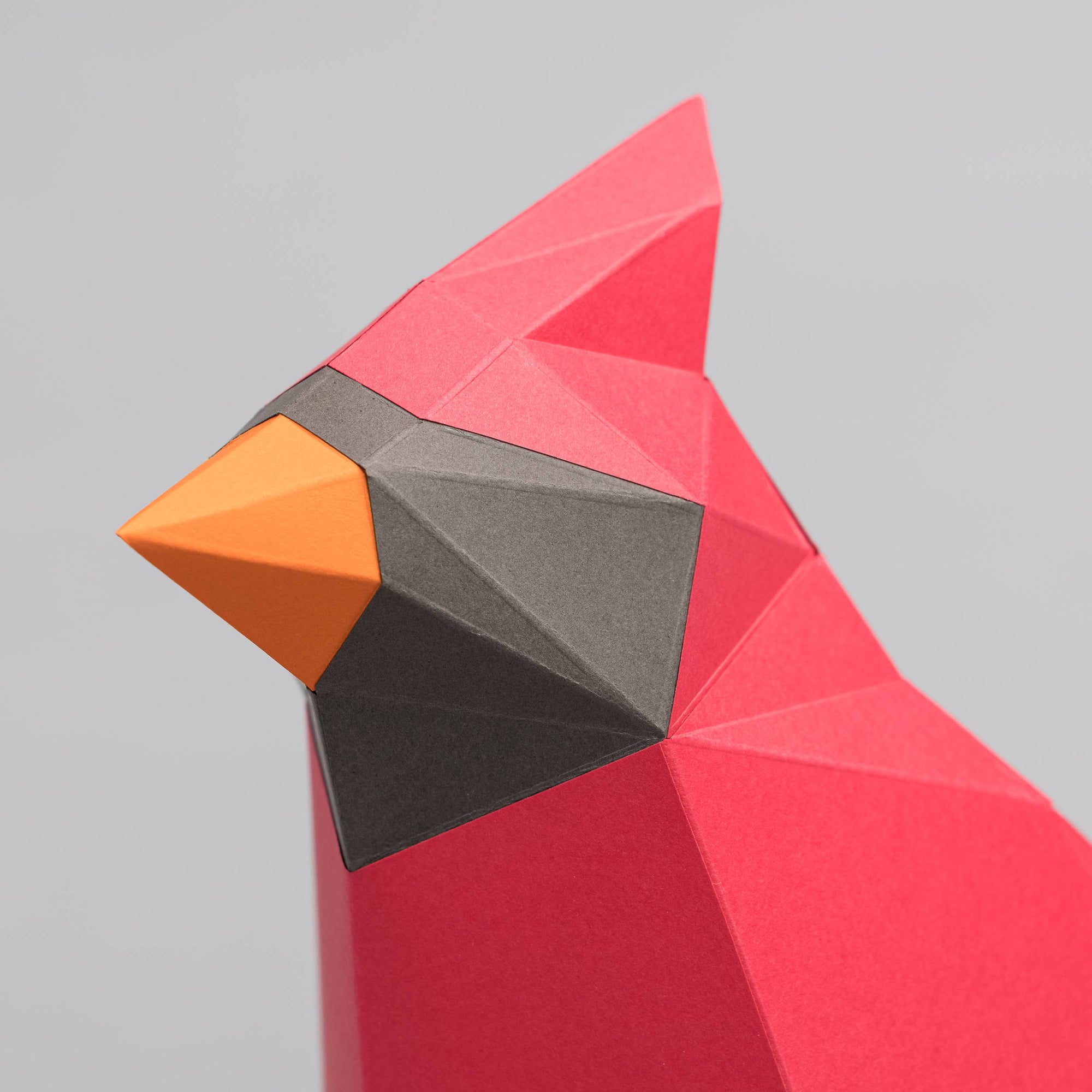DIY Cardinal 3D origami model Kit