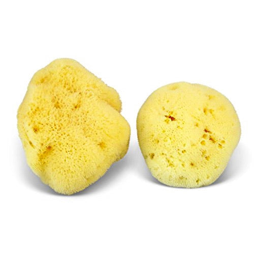 Natural Bath & Cleaning Grass Sea Sponge - Smile Boutiques