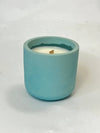 6oz Coconut Apricots Candle l Mildly Scented Slow-burn