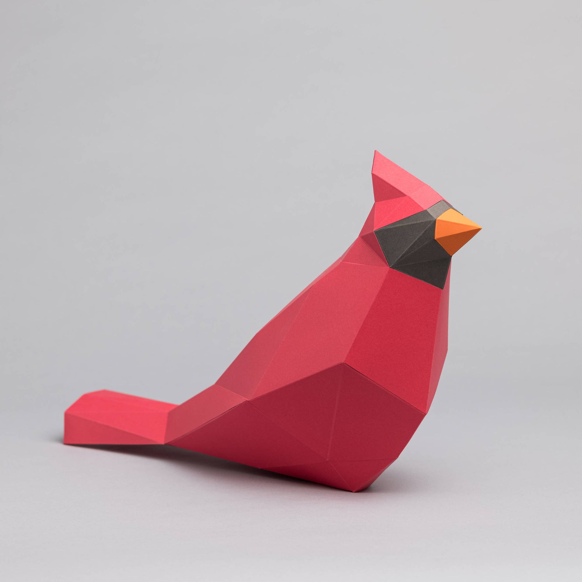 DIY Cardinal 3D origami model Kit